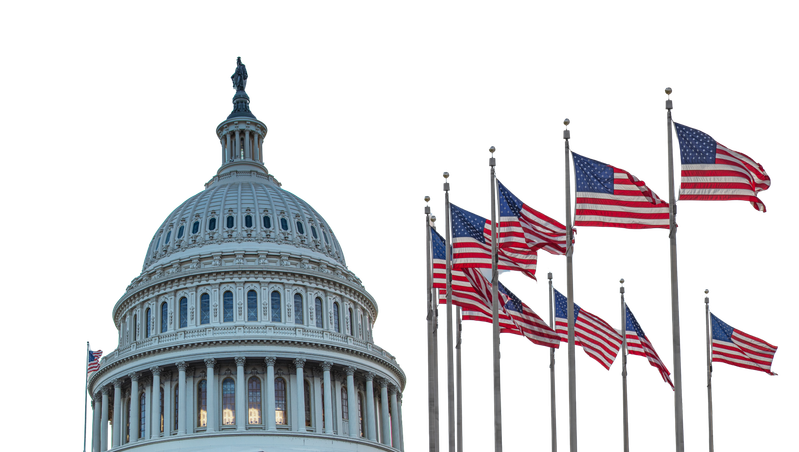 Washington and flags